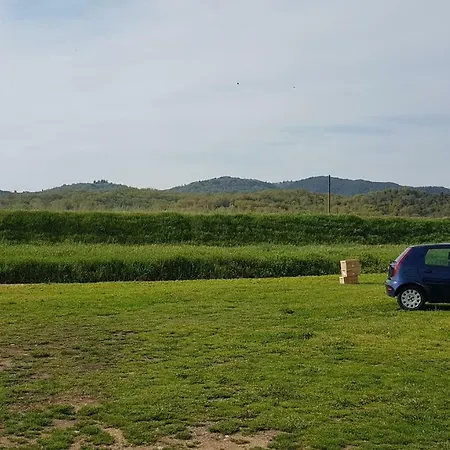 Valle Degli Etruschi Grilli