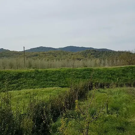 Valle Degli Etruschi *