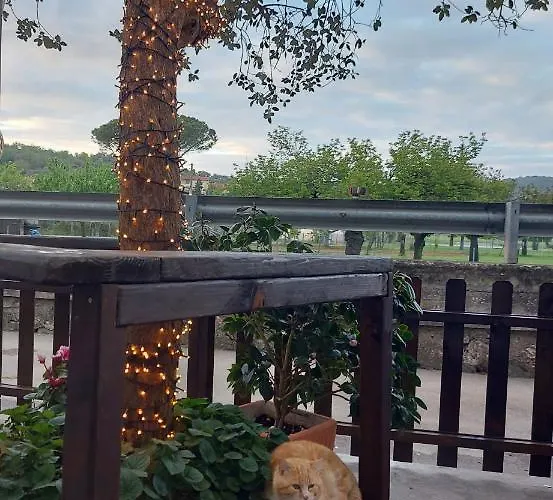 Valle Degli Etruschi Grilli